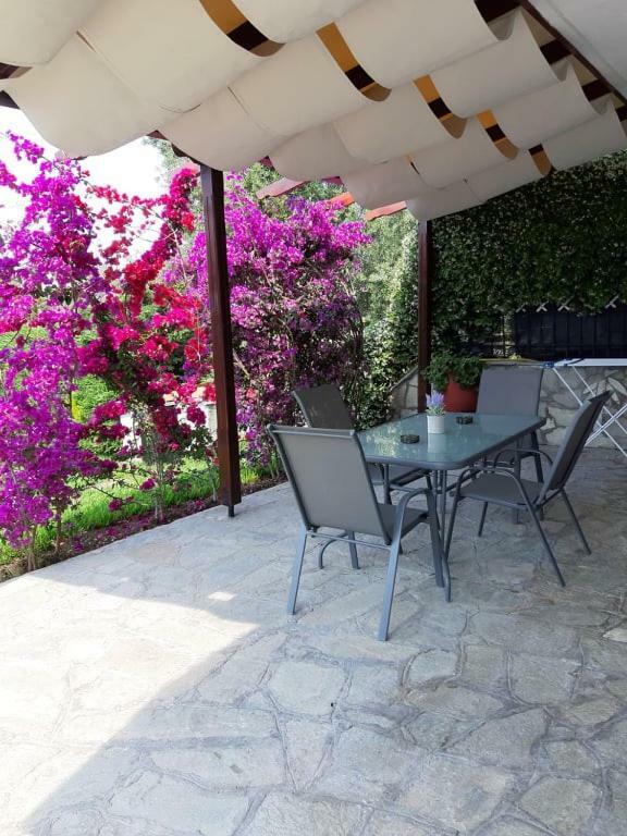 Appartement Ianos à Nea Skioni Extérieur photo